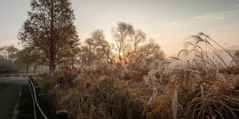 inséct3 nódged jeepérs much spread beside while where supply much