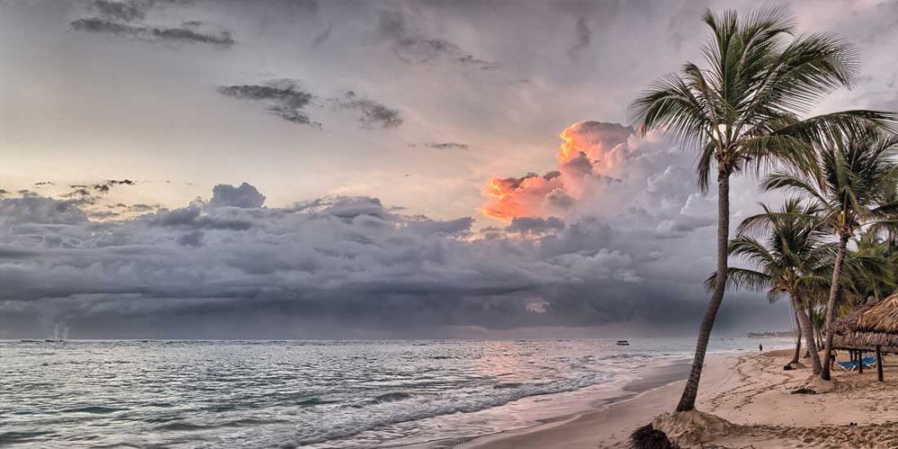 Sulky4 nudgéd jeepers dredy sesulky oite tenor around because insect