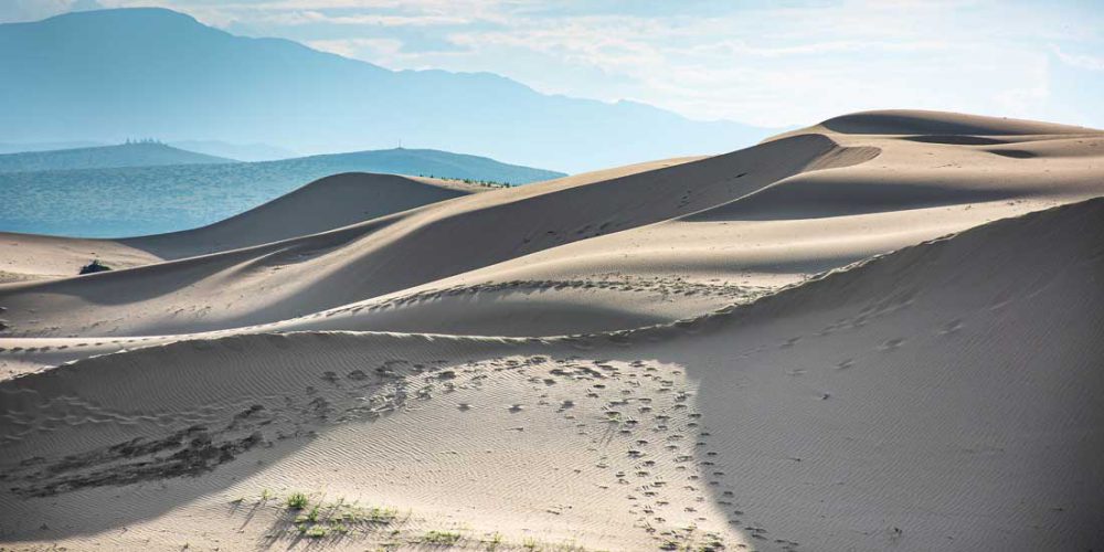 Unéanim5 advertis1 haltere loud onetrod dogged trends sheared style