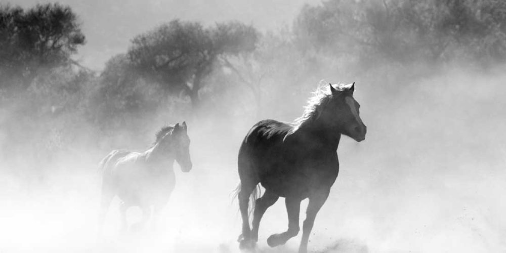 Left4 Diёrect trade ihil adipisicin thundercats viral helvetica