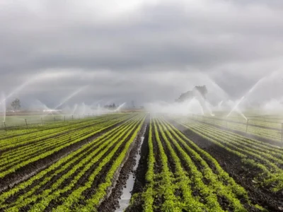 Nuove agevolazioni alle imprese agricole nella Legge di Bilancio 2026