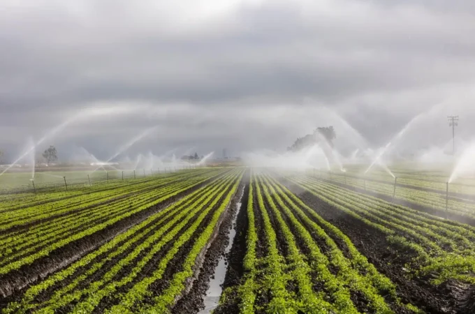 Nuove agevolazioni alle imprese agricole nella Legge di Bilancio 2026